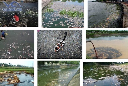 Báo động ô nhiễm nguồn nước tại Việt Nam